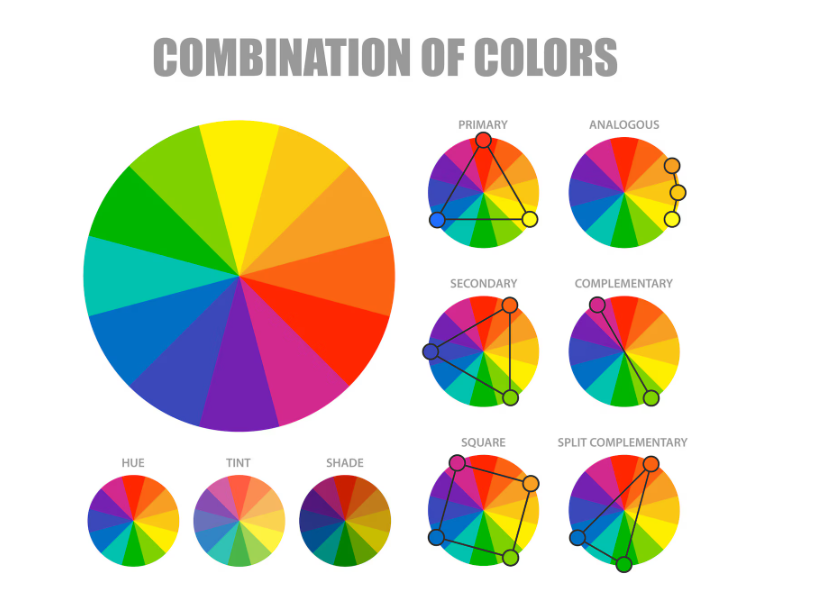 ./color_combinations_1773769313333