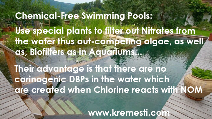 chemical free swimming pools