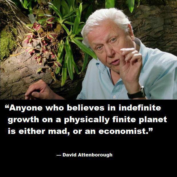 david attenborough meme