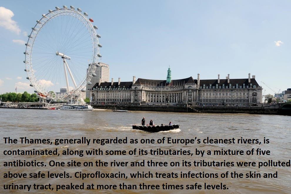 anitbiotic_pollution_in_Thames