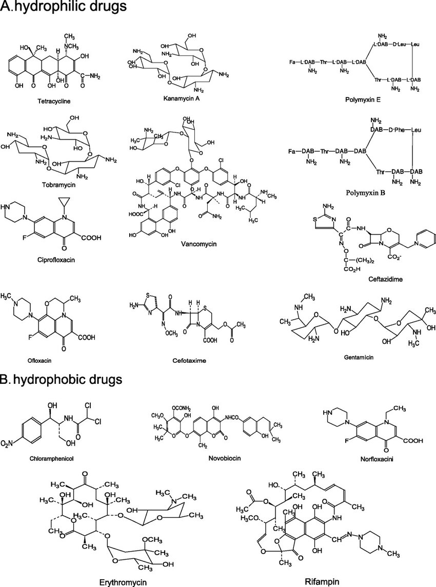 Chemical Structures of Some Common Anti-Biotics
